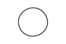 Parker 101.19 mm Viton - VG109-90 O Rings ORING-2-242-VG-AE1_0