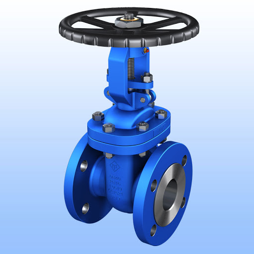 ZODEX Manual CS Gate Valves 15 - 500 mm 435 psi ZVA003_2
