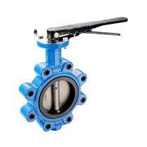 IPS 50 mm Manual CI Butterfly Valves Flanged_0