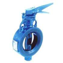 Crawley & Ray 65 mm Lever Operated CI Butterfly Valves Flanged PN 16_0