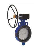 KRANTI 100 mm Gear Operated CI Butterfly Valves Flanged PN 10_0