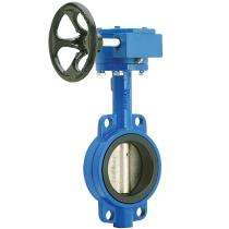 Crawley & Ray 100 mm Gear Operated CI Butterfly Valves Flanged PN 1_0