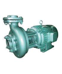 1 hp 2880 rpm Monoblock Pumps_0