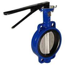 ARV 25 mm Manual CI Butterfly Valves Flanged PN 16_0