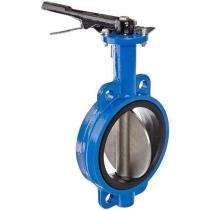 50 mm Manual CI Butterfly Valves Flanged_0