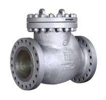 L&T 10 inch Manual CF8M Check Valves RF Trim 12 BC_0