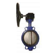 SKS DN 40 - 300 mm Manual DI Butterfly Valves Flanged PN-25 SKS 118S4G_0