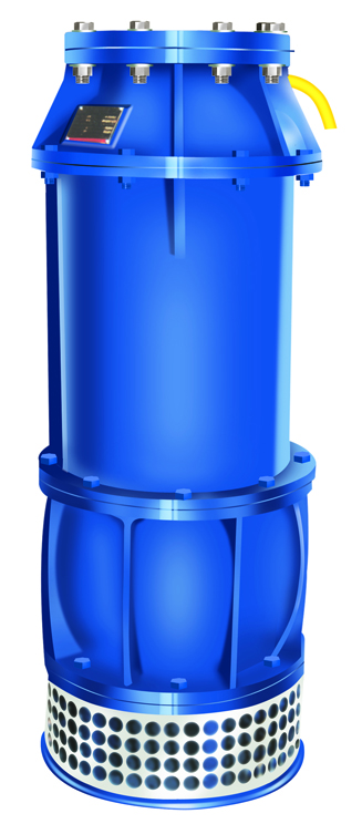 1 hp Single Phase Dewatering Pumps_2