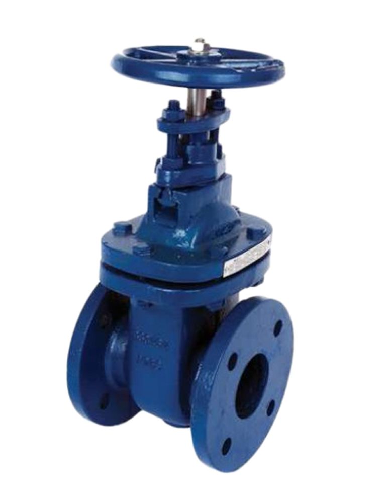 Buy DN 150 mm Manual Cast Iron Gate Valves Flanged online at best rates ...