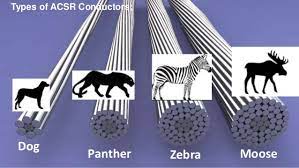 Cabcon India Ltd ACSRs 100 - 400000 m_1