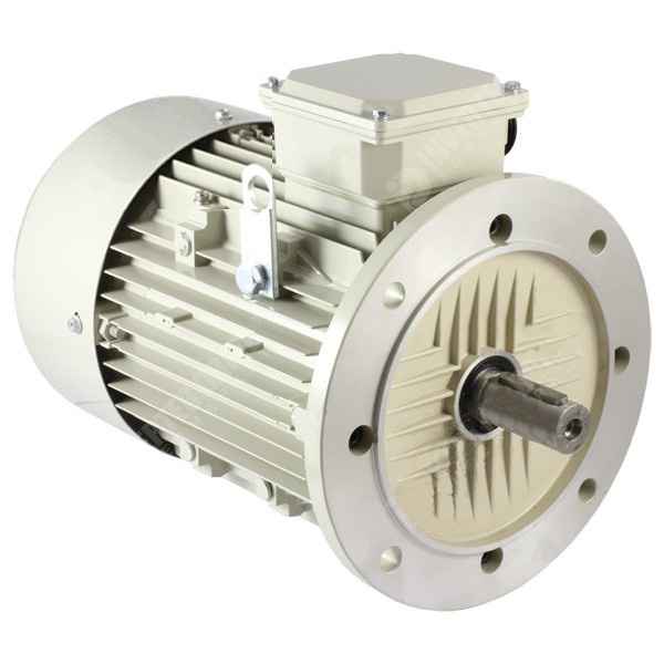 CG Single Phase 150 hp Foot and Flange Mounted AC Motors_1