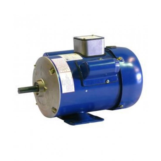 CG Single Phase 150 hp Foot and Flange Mounted AC Motors_3