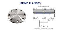 Bhavya Flanges Stainless Steel Blind Flanges 25 - 1500 mm Ring Type Joint_0
