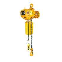 RBIE 10 ton Trolley Electric Hoist 5 m/min_0