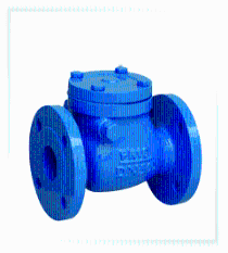 AGS SS Check Valves 15 mm to 400 mm_0