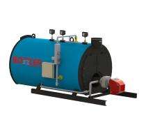 Bozzler 100 kg/hr Steam Boiler_0