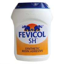 Pidilite Silicone Sealant 27 Shore A FEVICOL-SH_0