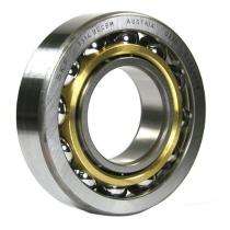 SKF Ball Bearings Stainless Steel_0
