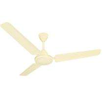 HAVELLS Pacer 900 mm 3 Blades 60 W Brown, Ivory, White Ceiling Fans_0