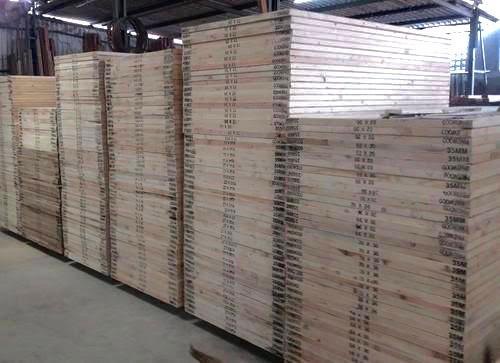 ASIANET Doors Flush Wood_2