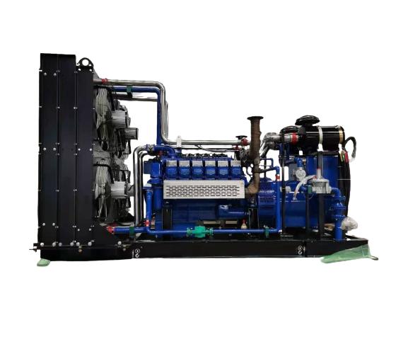 Enduman Gas 25 - 1250 kVA 1000 L Diesel Generators_1