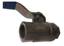 2 inch Manual Stainless Steel Ball Valves Double Threaded_0