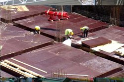 ASIANET 12 mm Plain and Printed Shuttering Plywood 2440 x 1220 mm IS 4990_2