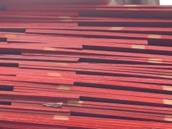 SURAKSHA 12 mm Film Faced Shuttering Plywood 1200 x 2400 mm_2