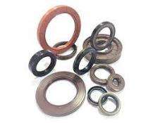 Rubber DB2 BW 4528 EO Oil Seals 160 mm_0