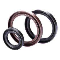 Rubber DB2 BW 5073 EO Oil Seals 160 mm_0
