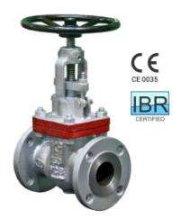 IPC CS Globe Valves 200 mm_0