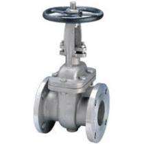 2" - 24" Wedge parallel SS Gate Valves Flanged Connection (RF) DN 100_0