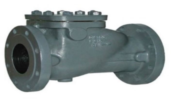 Prima Swinging & Lift Up CI Non Return Valves 50 mm Flange & Screwed End_1