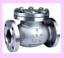 Prima Swinging and Lift Up CS Check Valves 300 mm_0