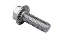 SPL M6 x 10 Hexagon Flange Bolt A2-70 DIN 6921_0