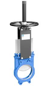 DN 65 mm Manual Gate Valves_0