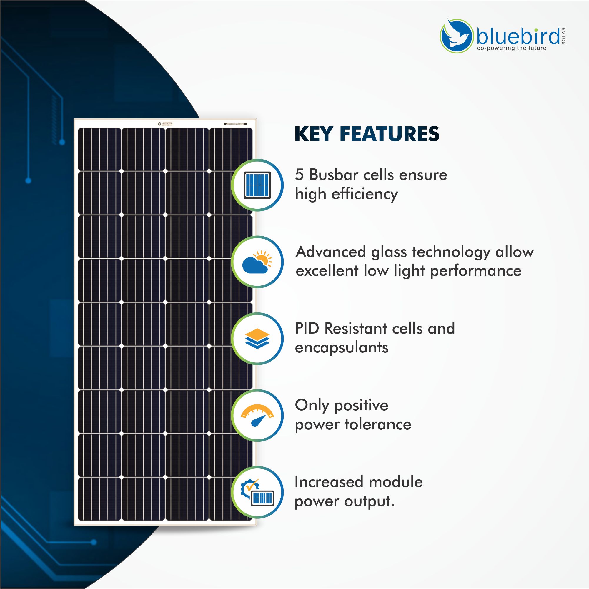 Bluebird Solar Solar Panel_4