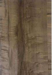 1 mm Veneer Collection Laminate Glossy  Finish 8 x 4 Ft Fire Retardant, Antibacterial_0