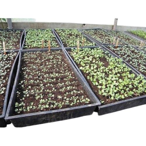 Planting Plastic 50 kg 1 - 3 ft Crates_1