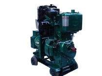 URJA Industrial 5 kVA 10 L Diesel Generators_0