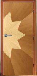 Doors Veneer Flush Wood_0