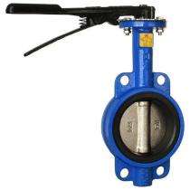 DN 50 mm Manual CS Butterfly Valves Double Flanged PN 16_0