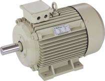 3300 rpm Three Phase 15 hp Four Pole Foot Mounted AC Motors_0