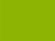 Asian Paints PPG Apple Green Chlorinated Rubber Coatings 20 Ltr_0