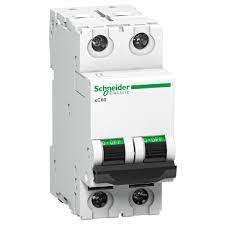 Schneider Electric A9N2P02C Double Pole 2 A C MCB_0