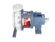 GLOBESEAL 2 hp Centrifugal End Suction Pumps_0