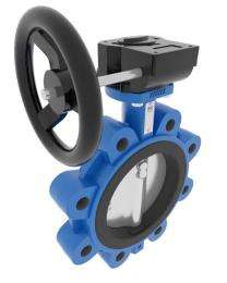 Customized CI Butterfly Valves Flanged_0