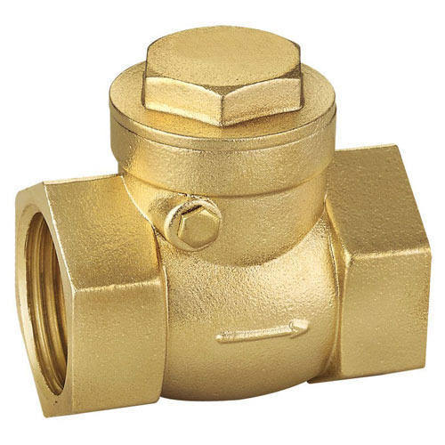 Brass Check Valves 15 mm to 100 mm_1
