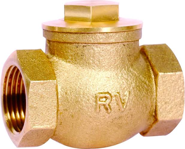 Brass Check Valves 15 mm to 100 mm_2