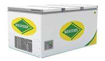 WESTERN Freezers Freezer 825 L Large_0